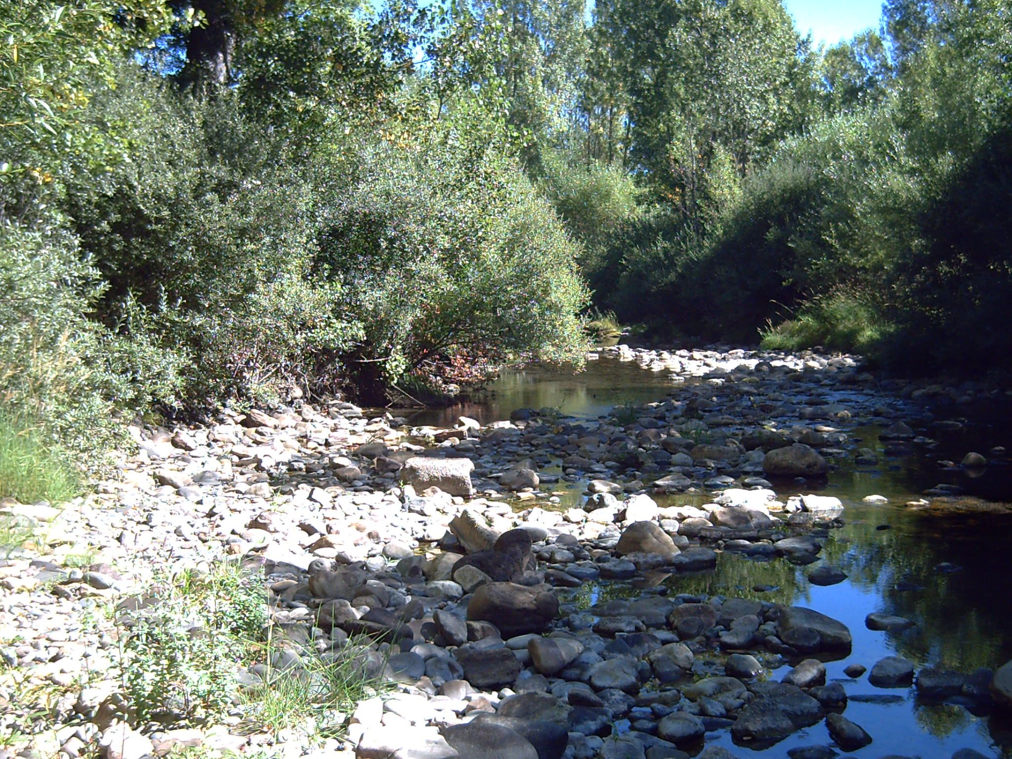 La fotografía es del río Torío, por encima del coto de Felmín, en el mes de julio del año pasado. RPN