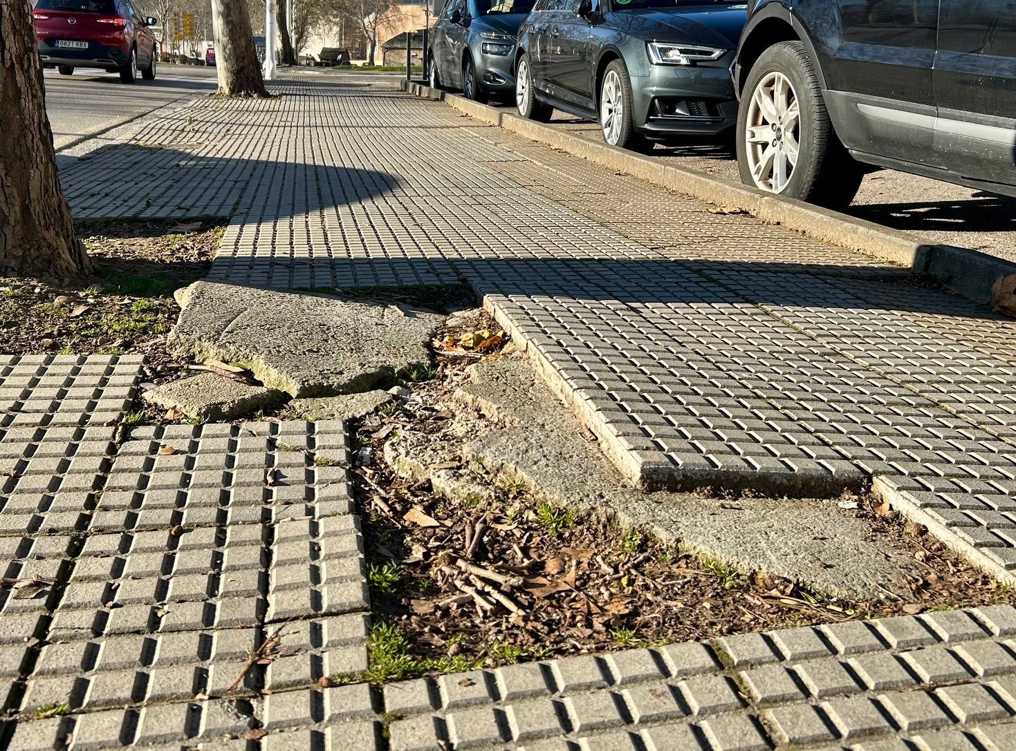 Estado actual de las aceras en ese tramo de la avenida del Castillo.