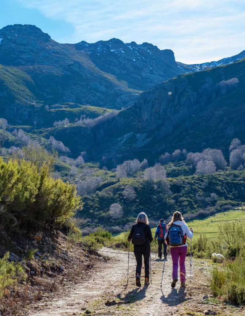 Con la sierra de Villabandín al fondo.| VICENTE GARCÍA