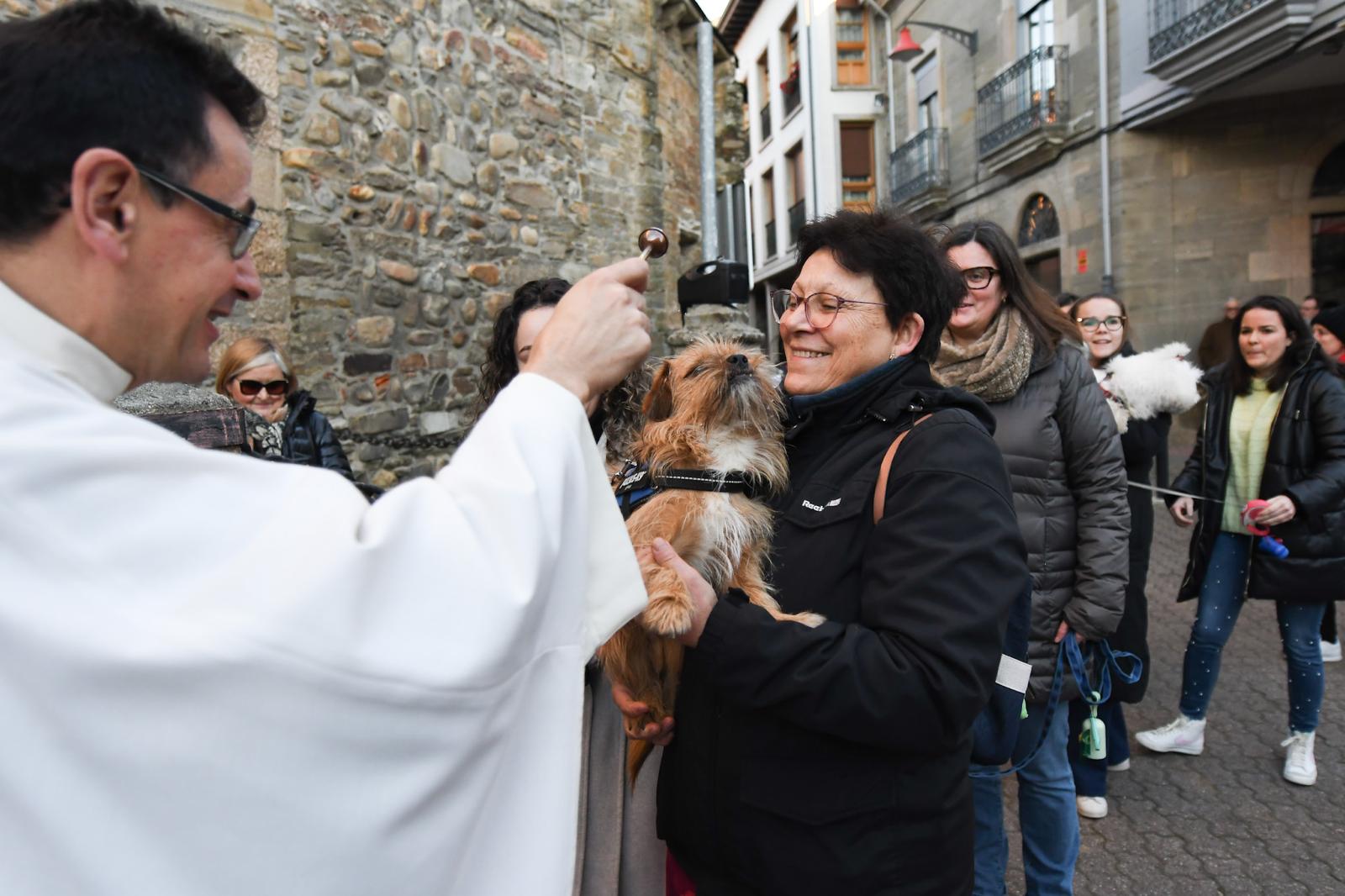 Bendición de las mascotas en Cacabelos. | Quinito