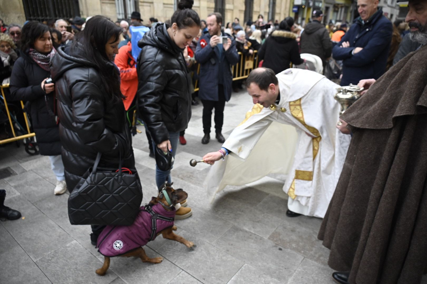  Bendición de animales por San Antón. | SAÚL ARÉN