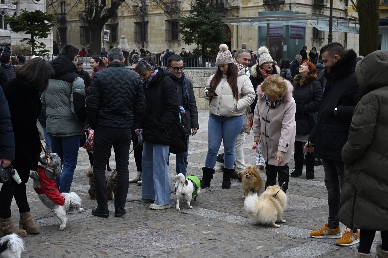  Bendición de animales por San Antón. | SAÚL ARÉN