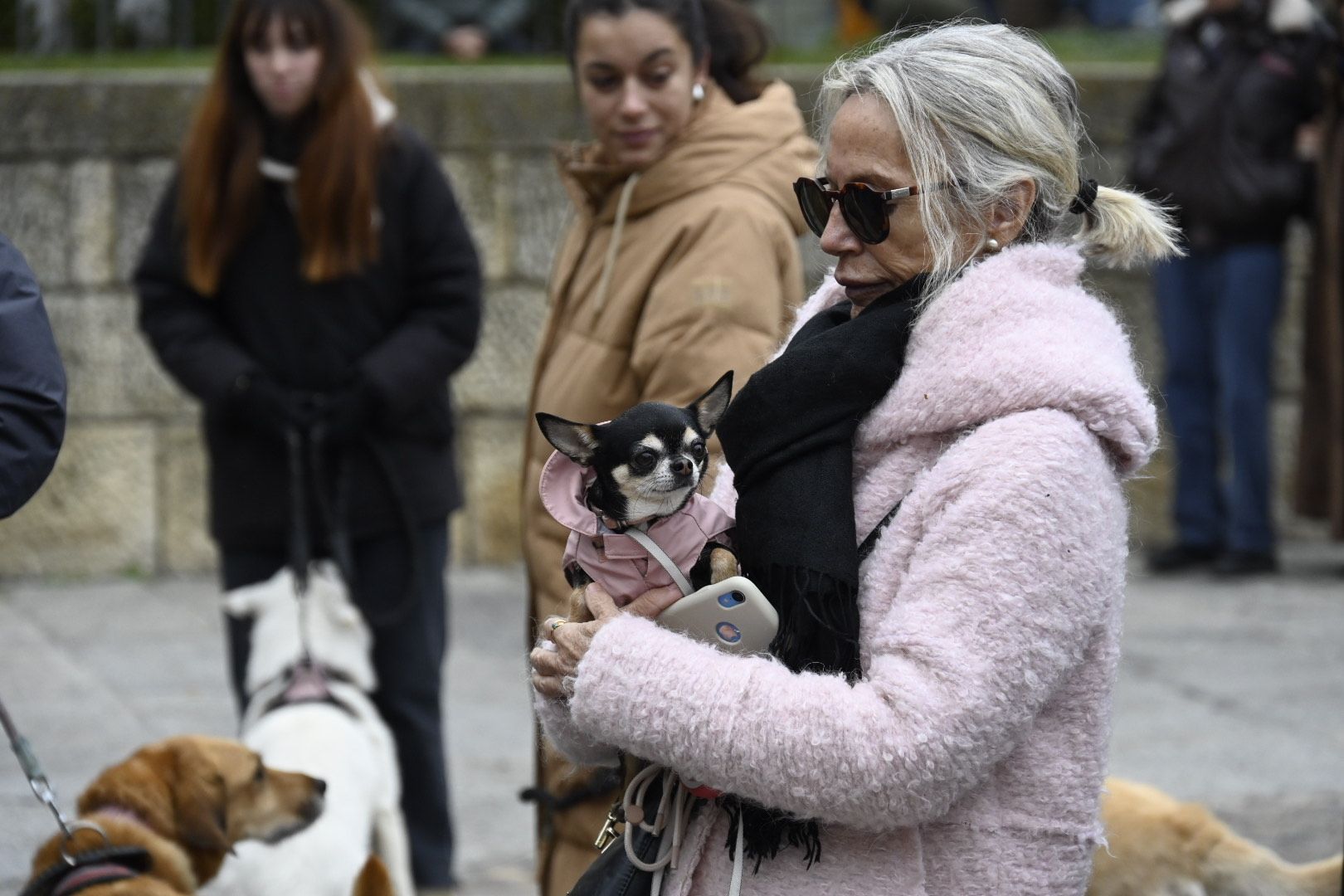  Bendición de animales por San Antón. | SAÚL ARÉN