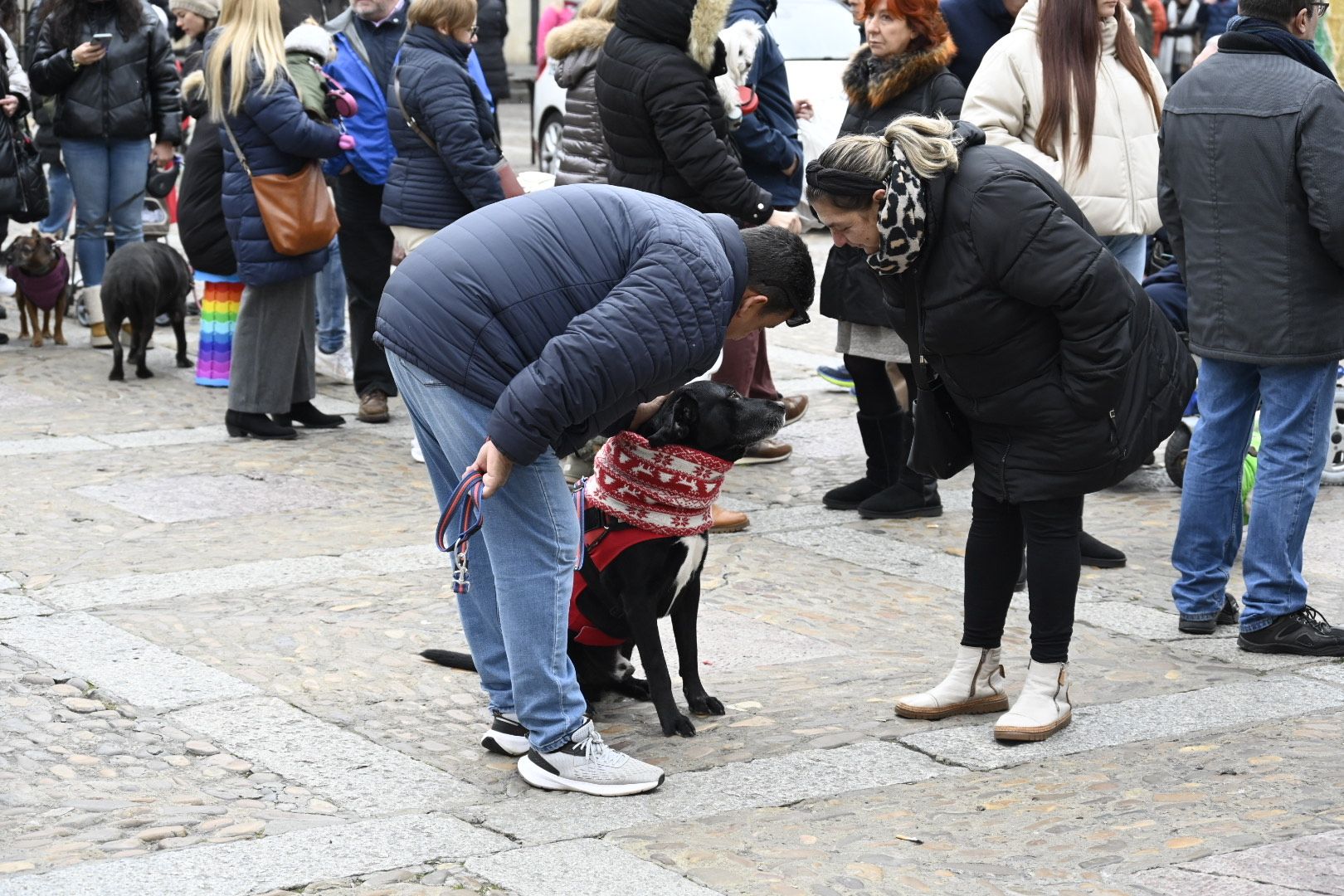  Bendición de animales por San Antón. | SAÚL ARÉN