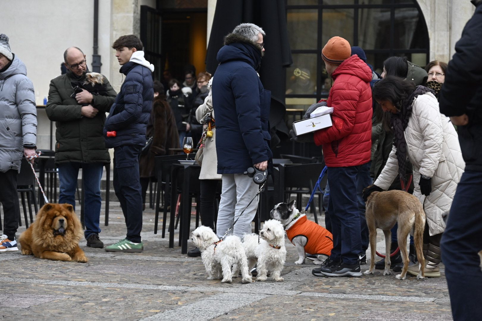  Bendición de animales por San Antón. | SAÚL ARÉN