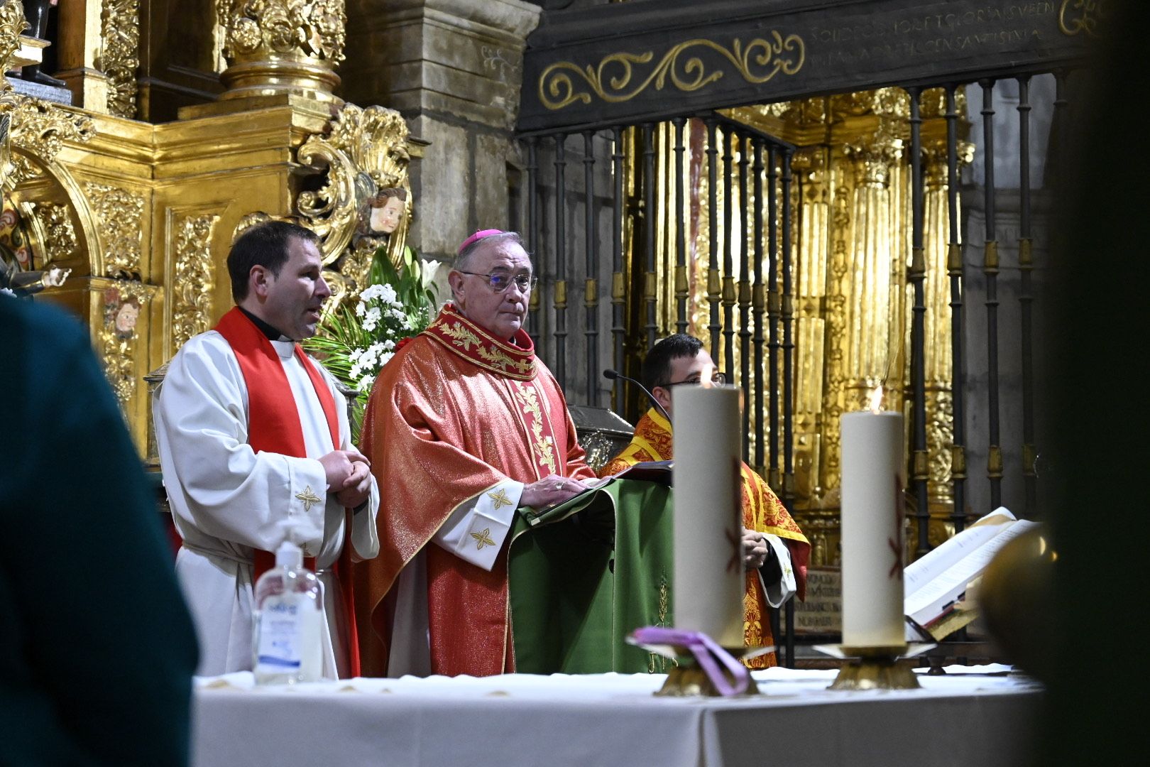  Bendición de animales por San Antón. | SAÚL ARÉN