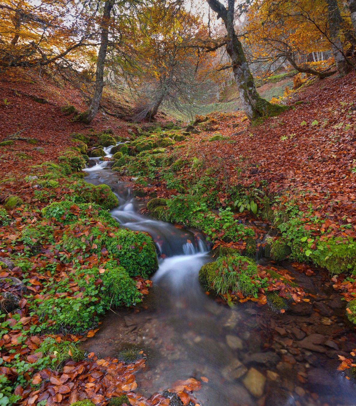 Espectacular imagen de Vegabaño, en Picos de Europa.  | TURISMO CASTILLA Y LEÓN