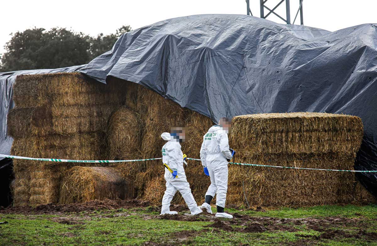 Policía científica en el lugar de los hechos, en una finca cercana a Ciudad Rodrigo (Salamanca). | ICAL