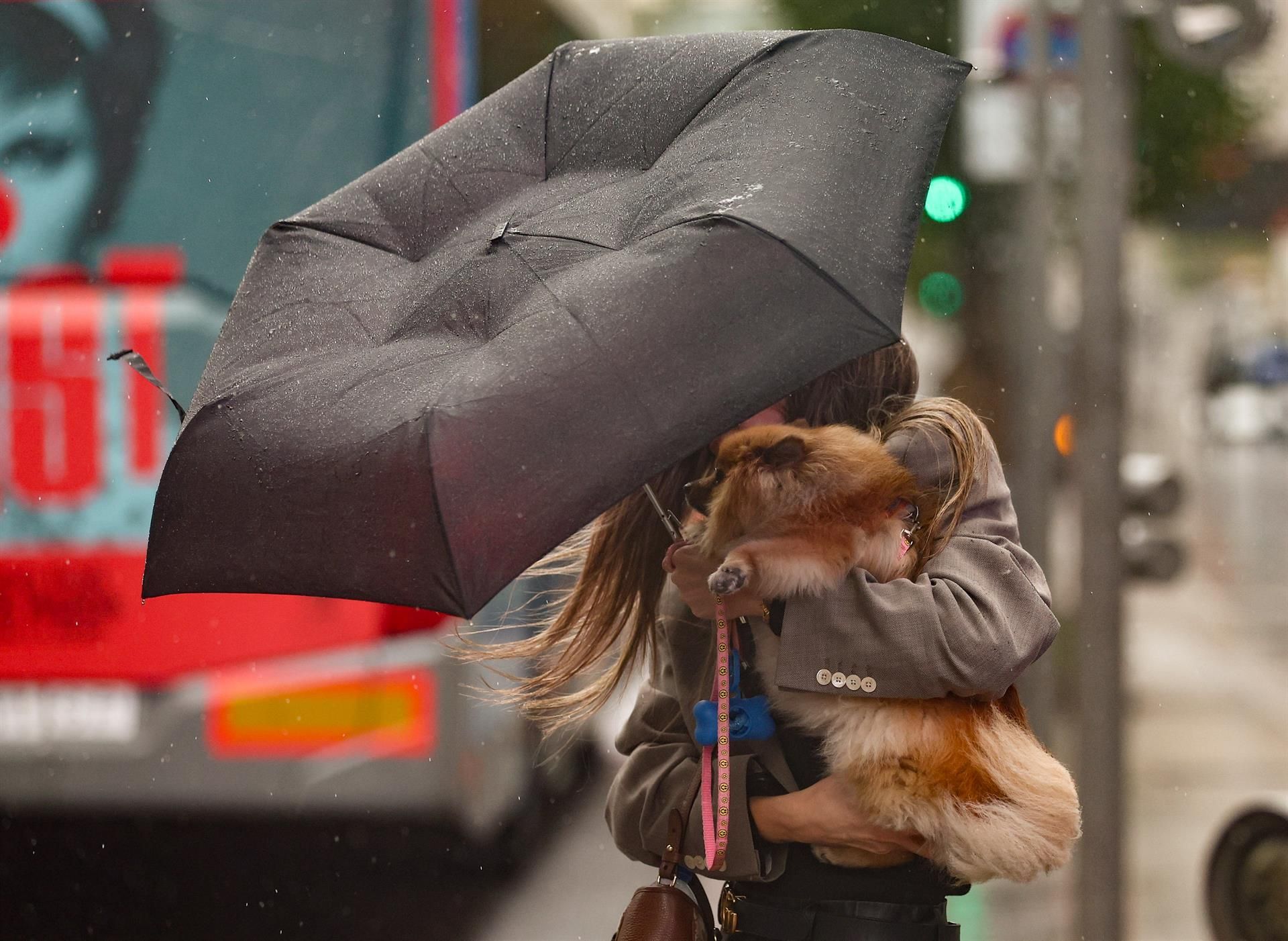 Una mujer con un perro intenta protegerse con un paraguas de la lluvia y el viento. | EP