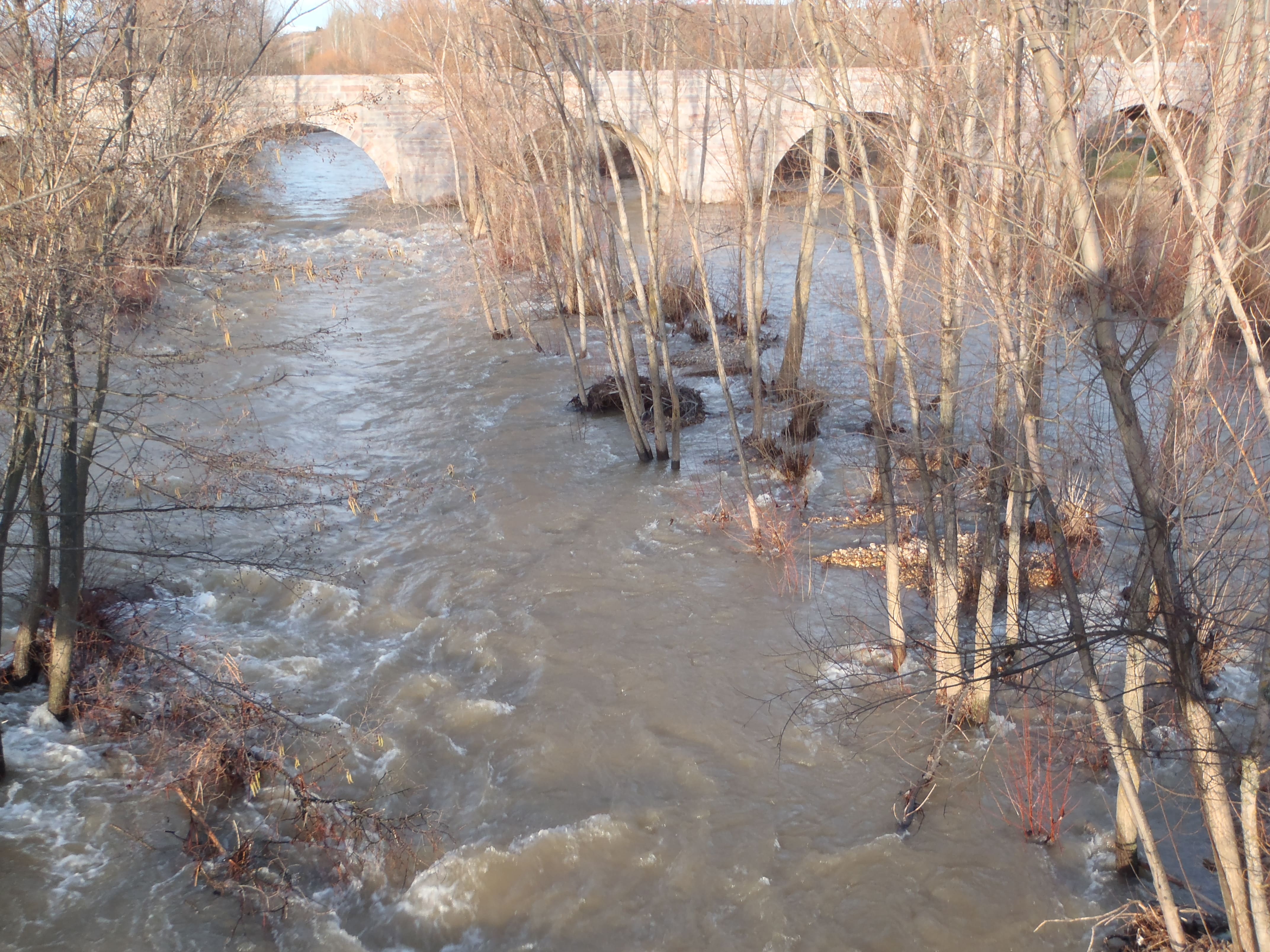 Río Torío a su paso por Puente Castro la semana pasada. RPN