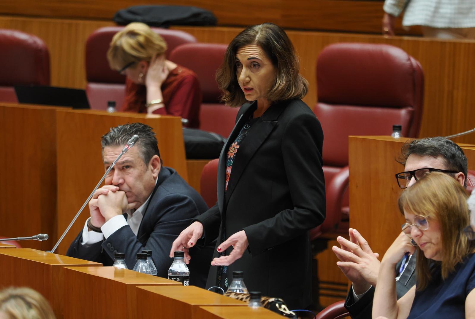 La procuradora de UPL, Alicia Gallego, en el pleno de las Cortes de Castilla y León. | L.N.C.