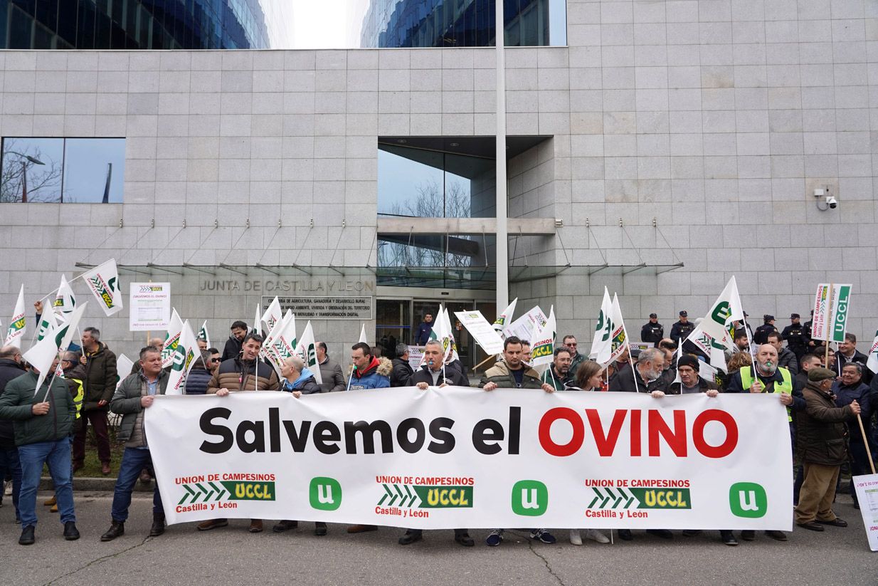 Concentración de UCCL este jueves a las puertas de la Consejería de Agricultura. | ICAL