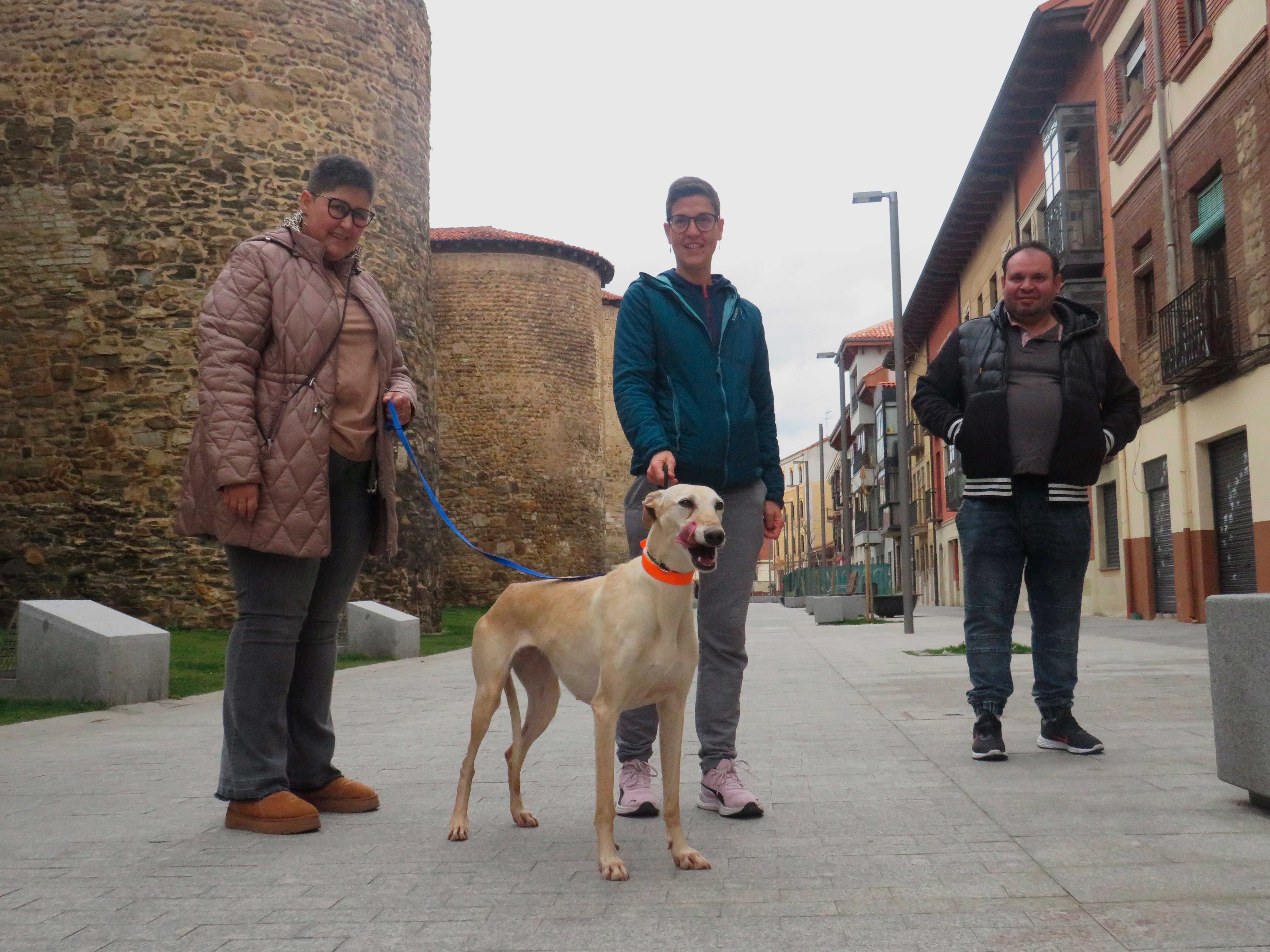 Terapia psicosocial con animales en el Hospital San Juan de Dios. | L.N.C.