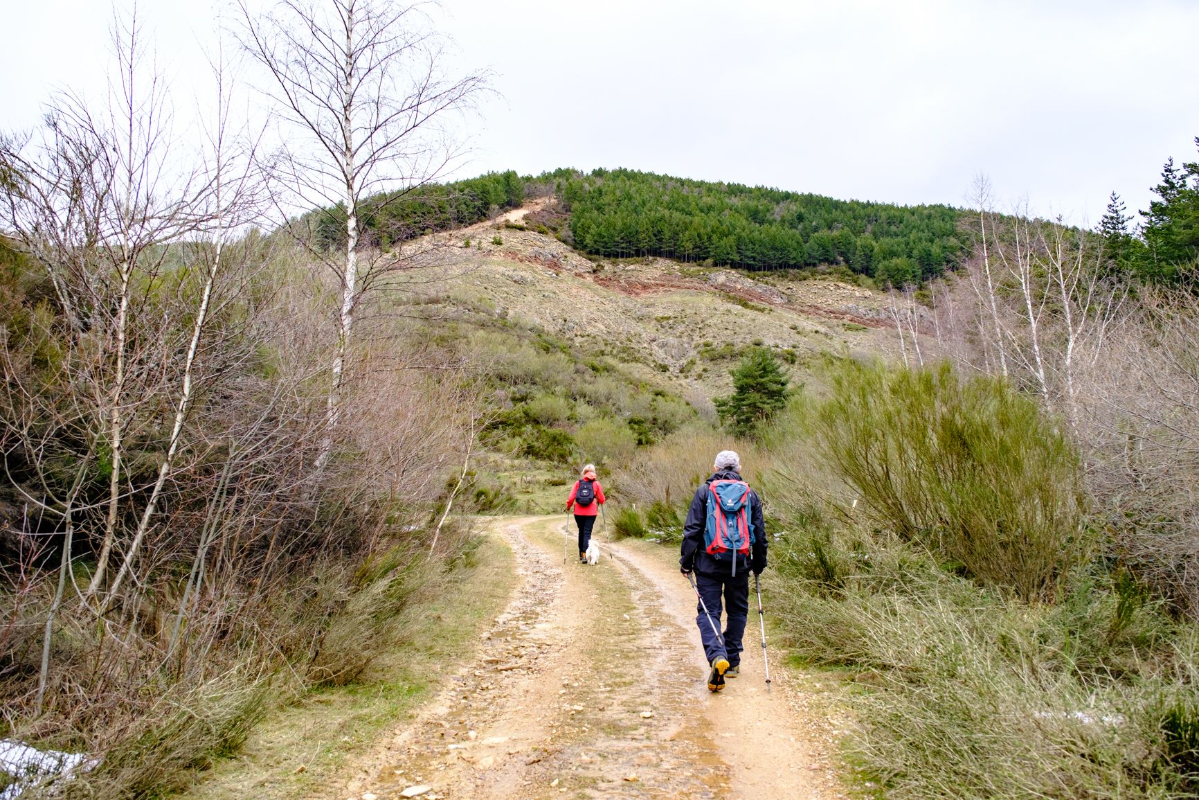 Camino hacia la collada. | VICENTE GARCÍA