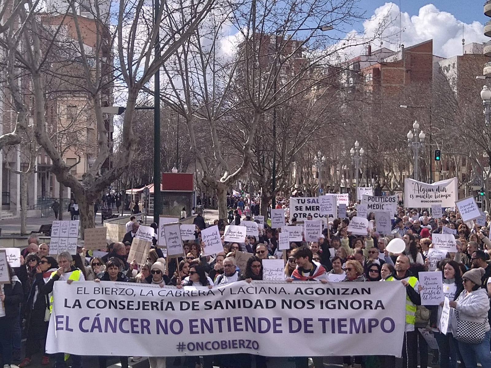 Manifestantes por las calles de Valladolid.