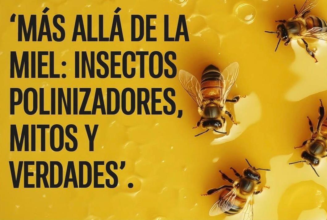 Cartel del taller 'Más allá de la miel: Insectos polinizadores, mitos y verdades'.