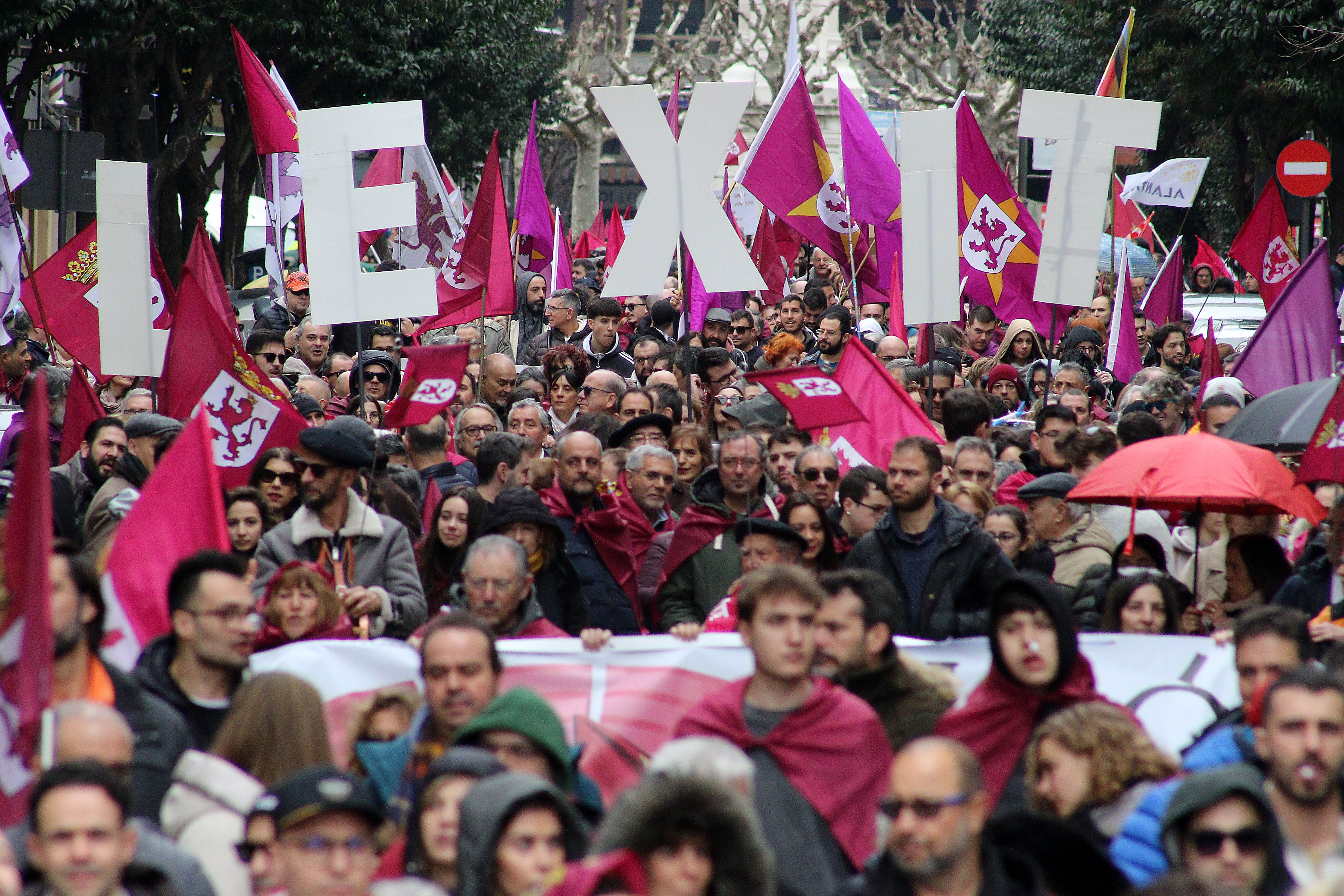 Manifestación por el futuro de León convocada el pasado el 16 de febrero. | PEIO GARCÍA (ICAL)