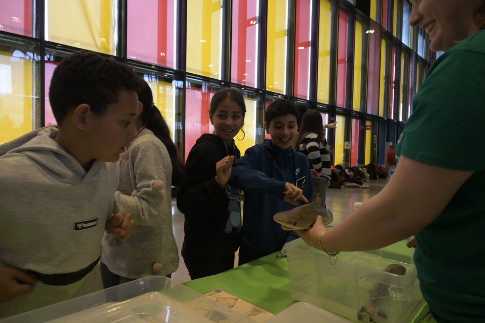 Los niños leoneses se acercan ala ciencia a traves de Expociencia 2025 11