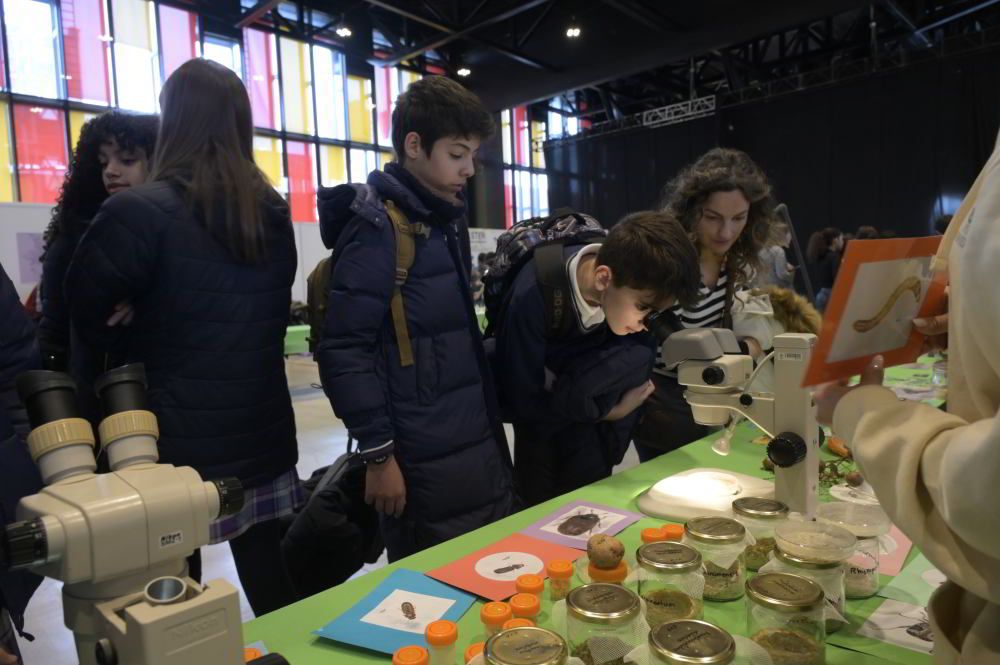 Los niños leoneses se acercan ala ciencia a traves de Expociencia 2025 15