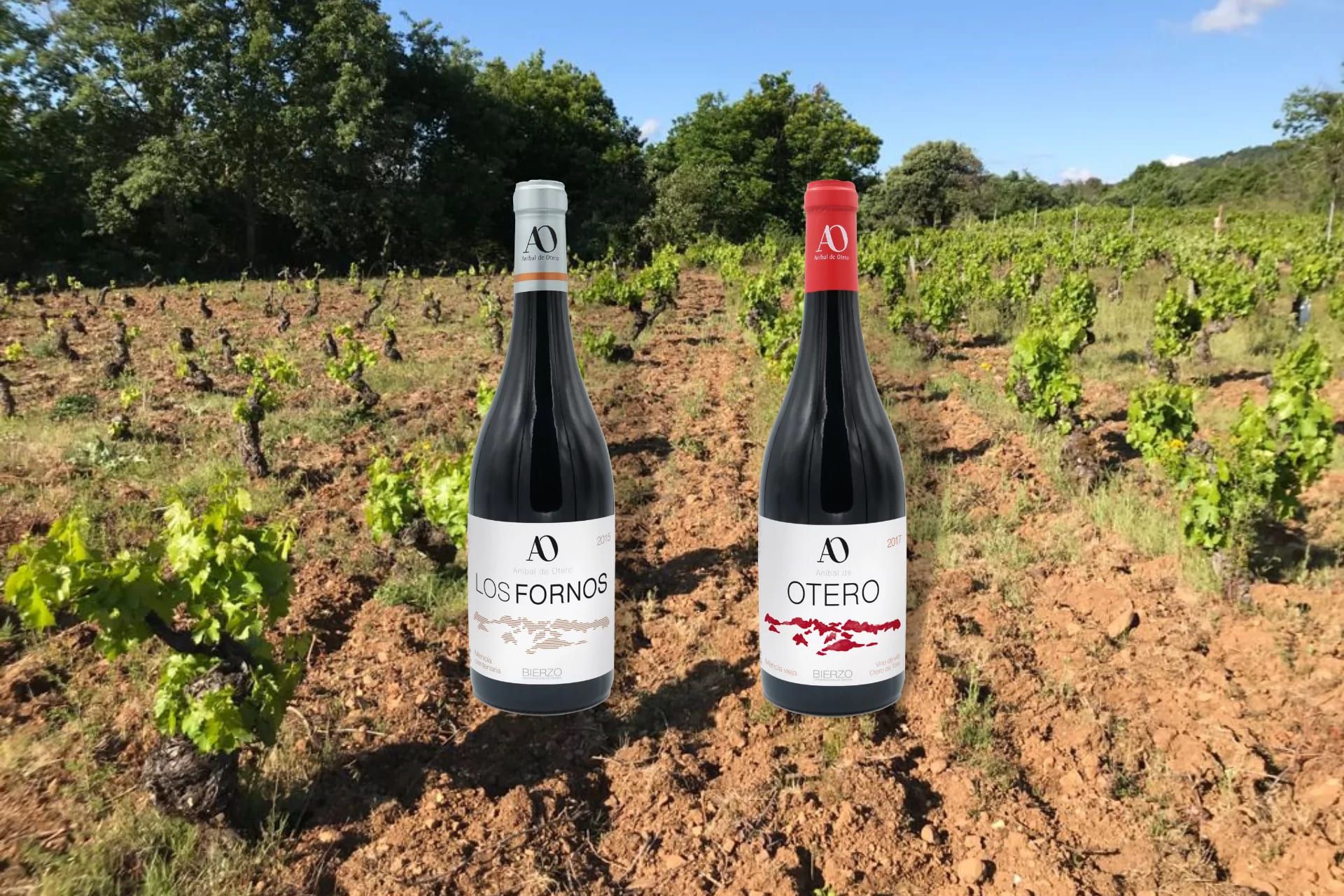 Vinos de Aníbal de Otero.