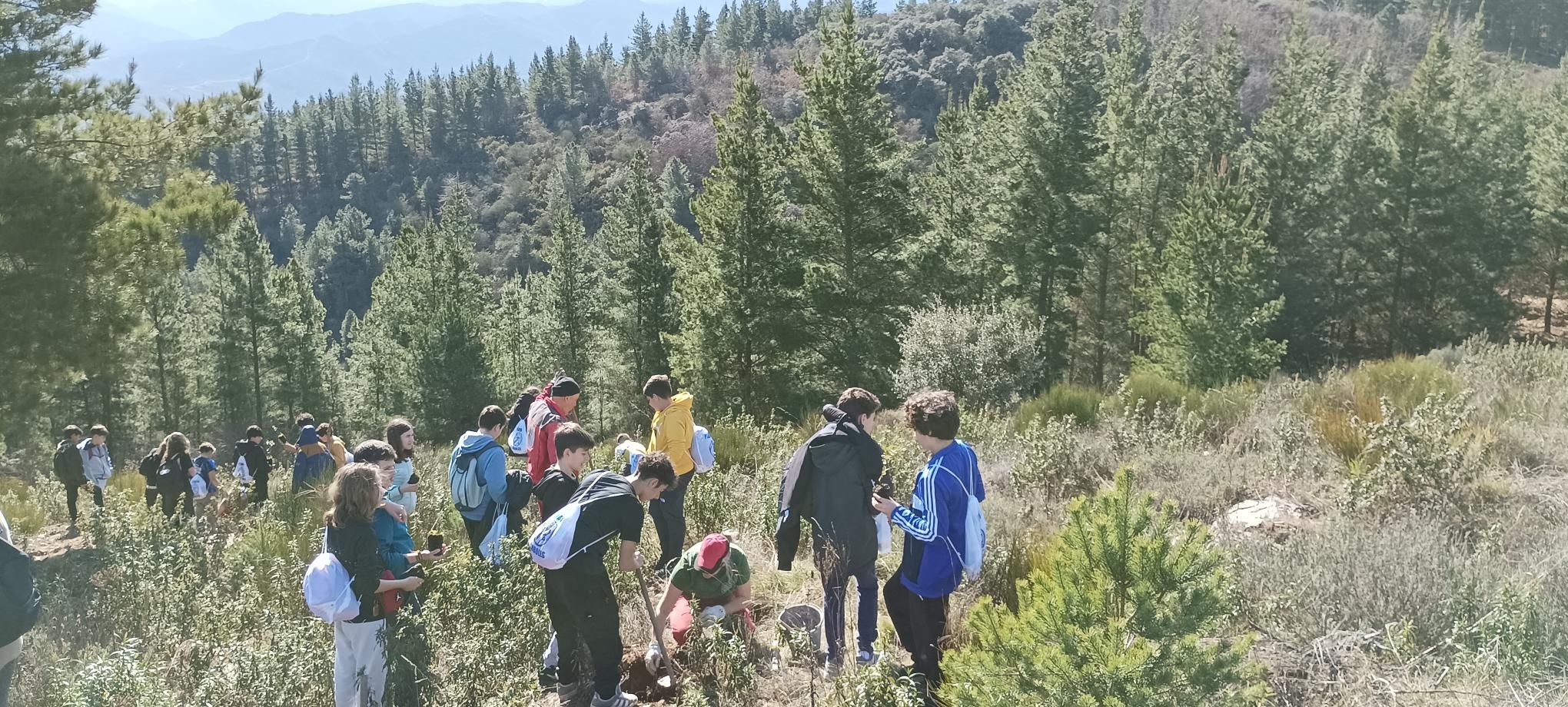 Alumnos del IES Gil y Carrasco en el Monte Pajariel de Ponferrada.