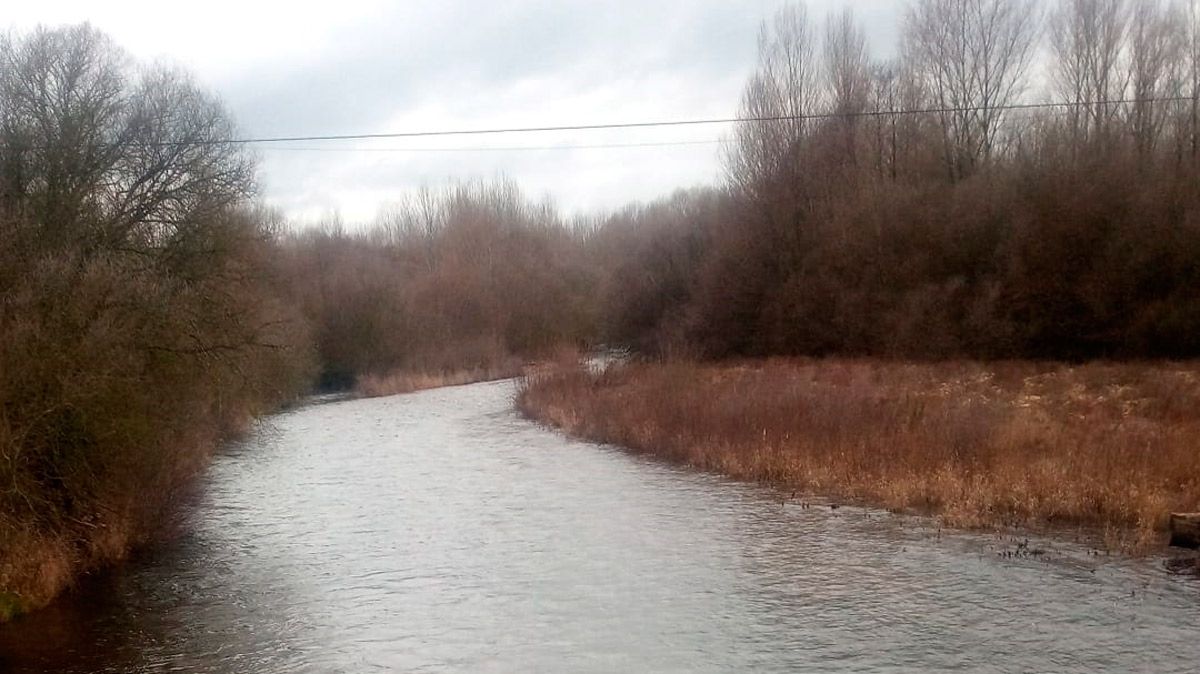 Vista del río Duerna este miércoles a su paso por Destriana. L.N.C.