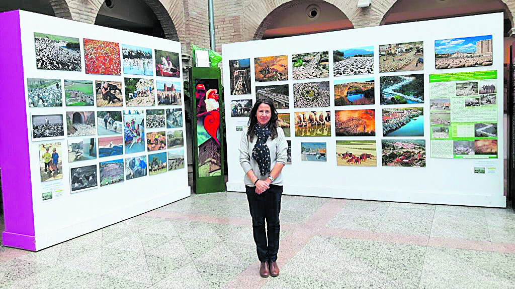 María del Carmen García Moreno ante las imágenes de una de sus exposiciones de fotografía dedicadas al mundo de la trashumancia y sus gentes.