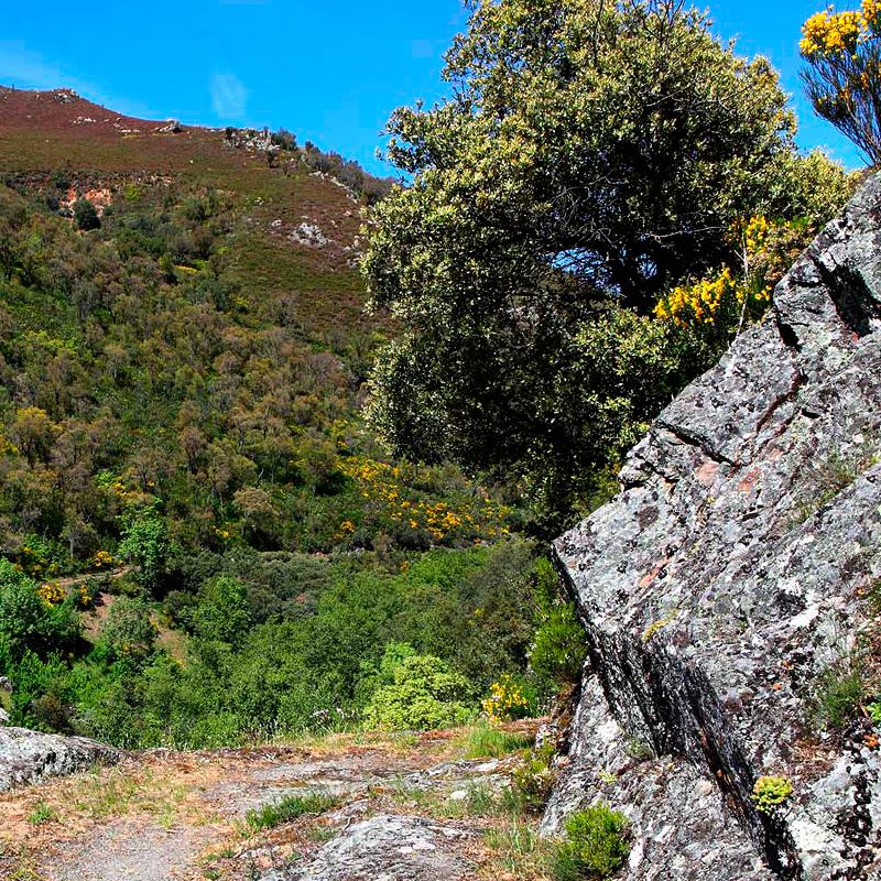 Imagen del canal 1 que llevaba agua a Las Médulas. 