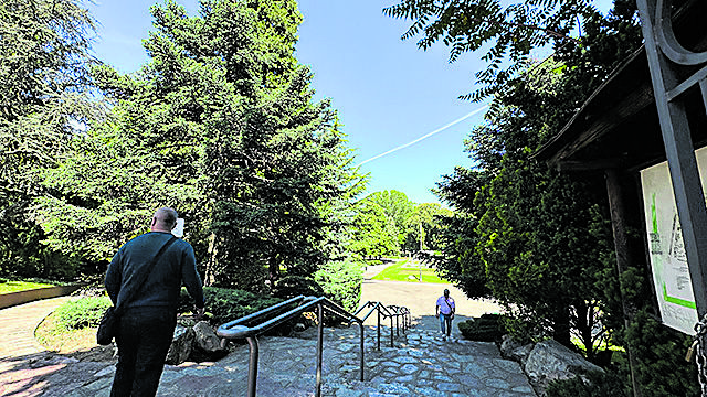 Imagen de algunos de los árboles del parque de Quevedo. L.N.C.