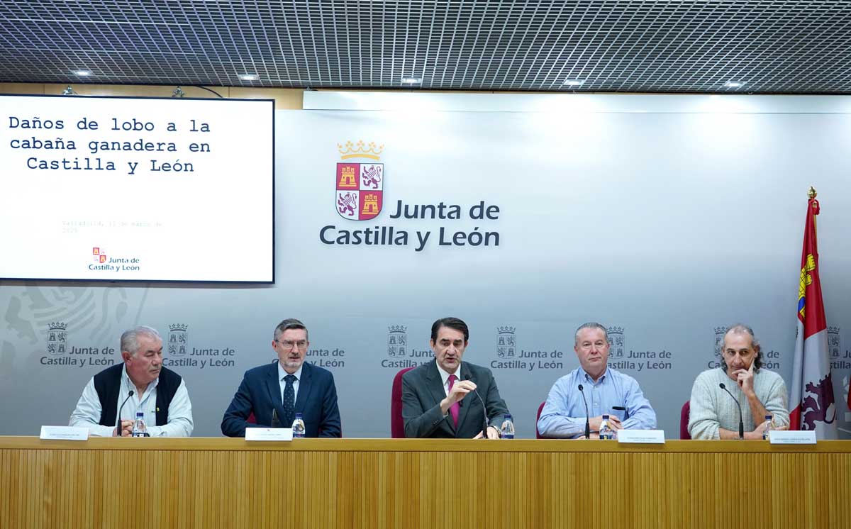 Presentación de los daños del lobo a la cabaña ganadera. | MIRIAM CHACÓN (ICAL)