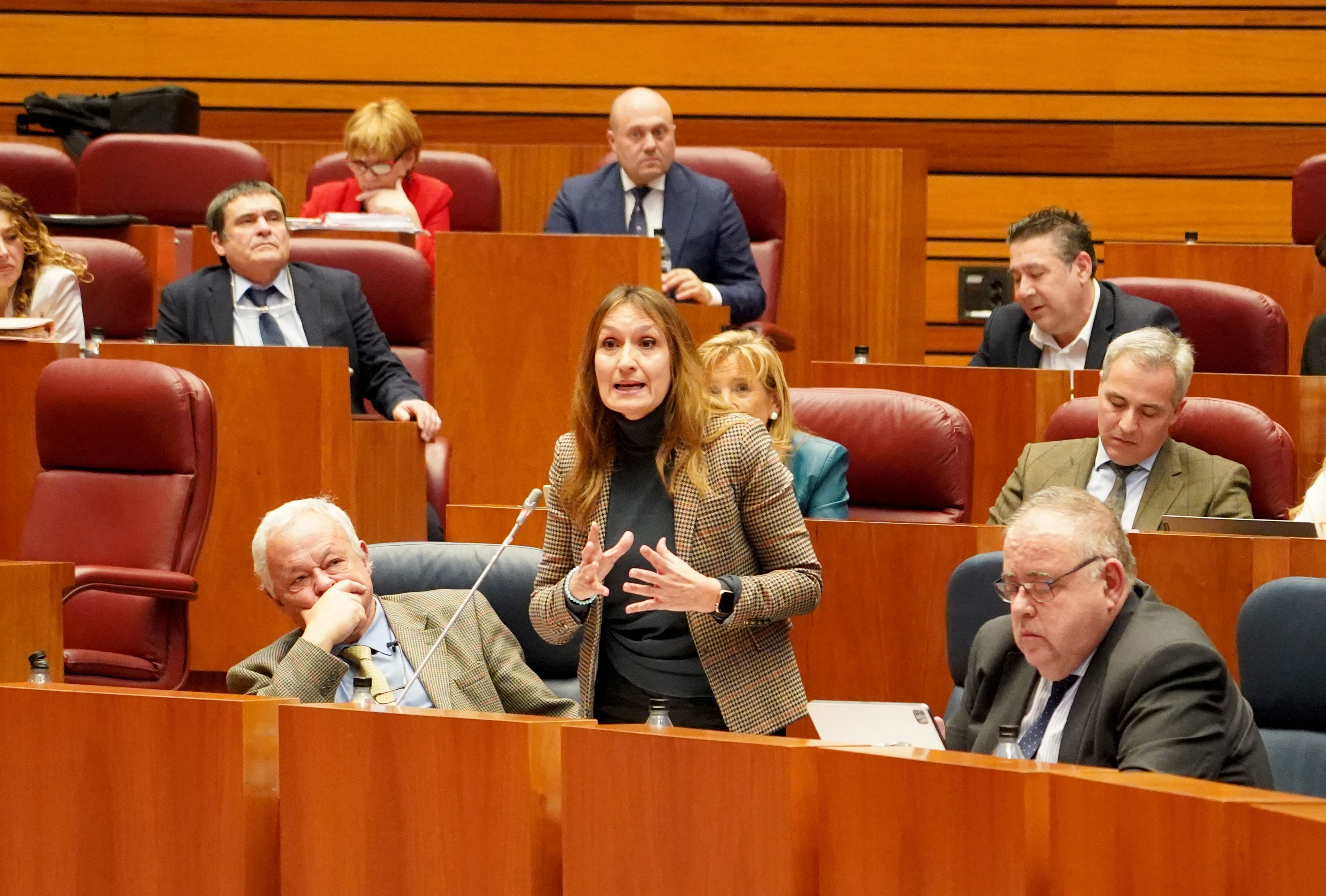 La consejera de Educación, Rocío Lucas, durante su intervención en las Cortes. | ICAL