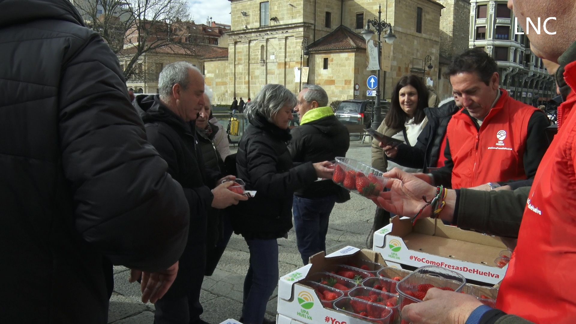 Reparten fresas gratis en León