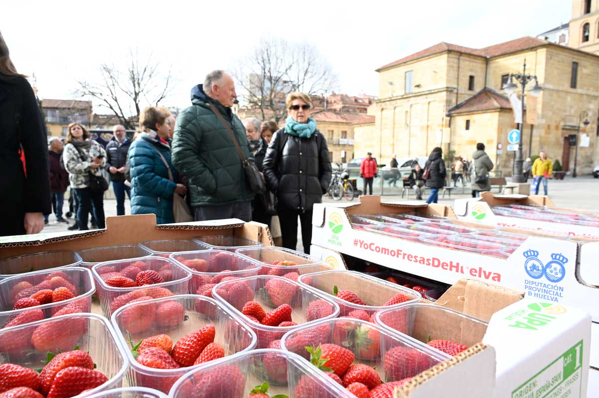 Reparto de fresas de Huelva este jueves en León. | SAÚL ARÉN