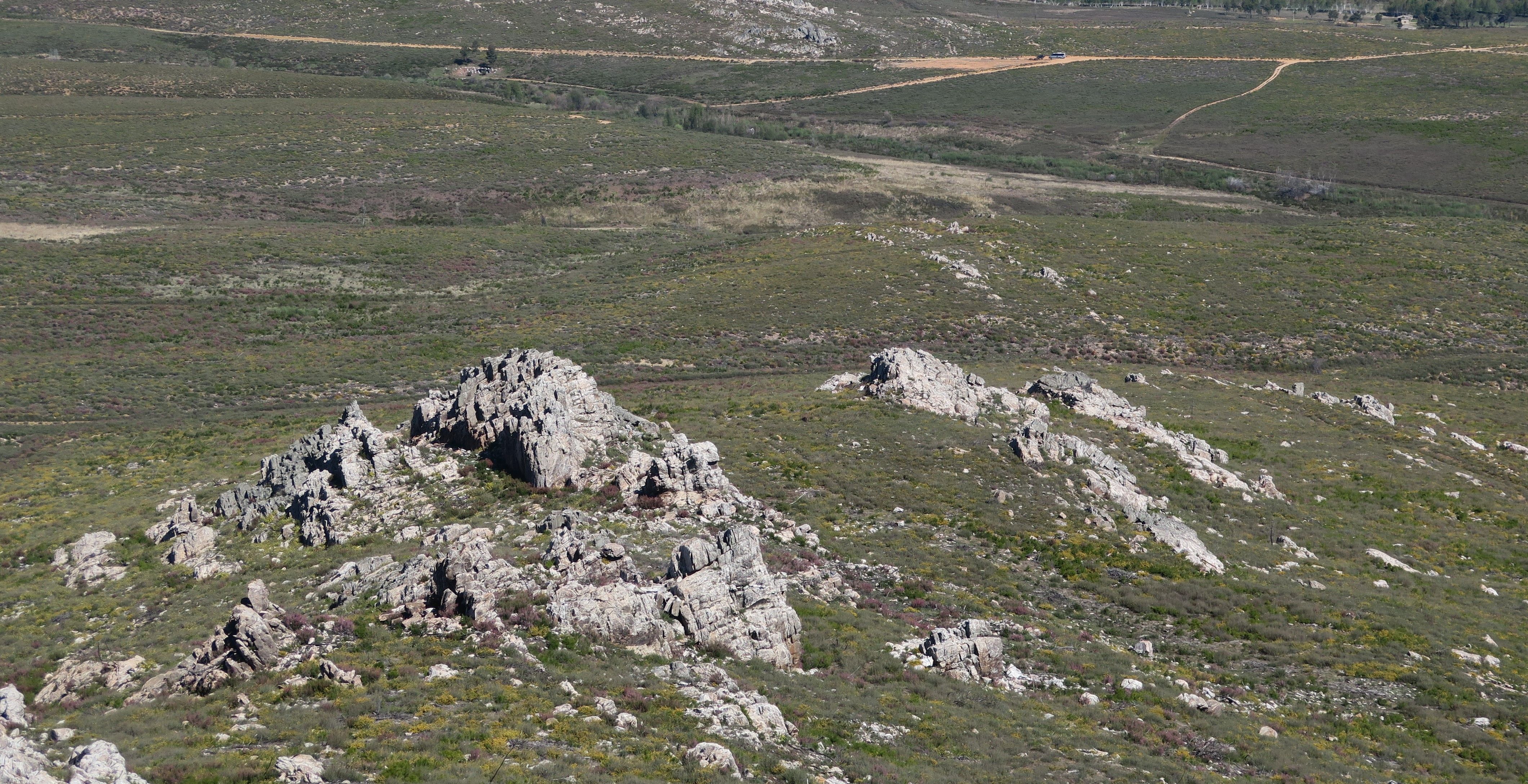 Zona de Cabrera experimental. 