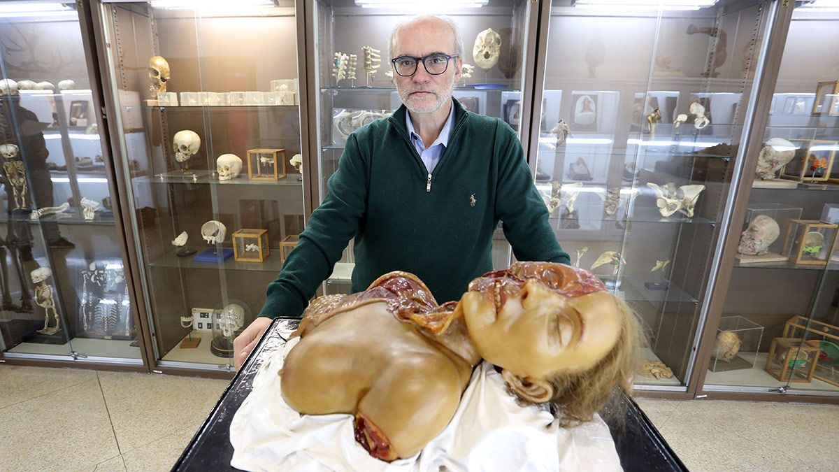 El profesor del Departamento de Anatomía y Radiología de la UVa Juan Francisco Pastor, muestra una de las piezas de cera utilizada para prácticas de Medicina en el siglo XIX. | ICAL