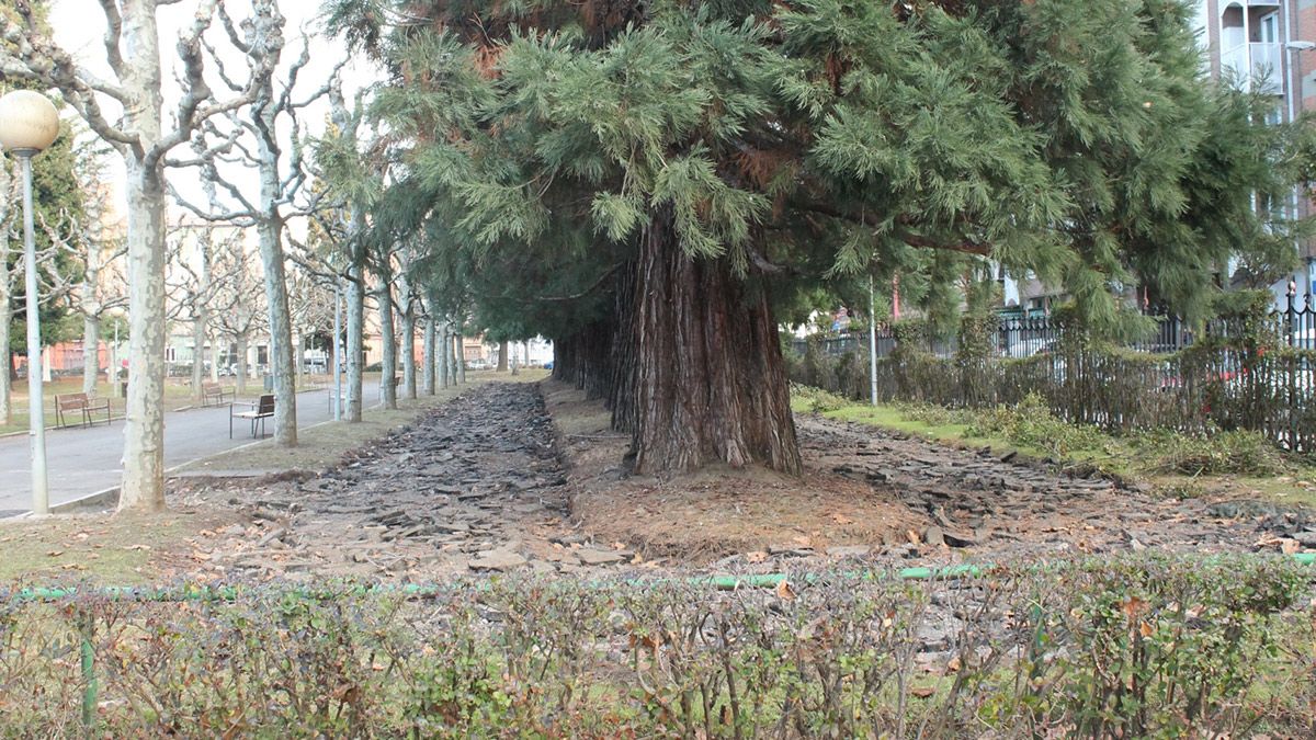 También se prevé renovar la antigua pista de patinaje y el circuito de bicicletas.