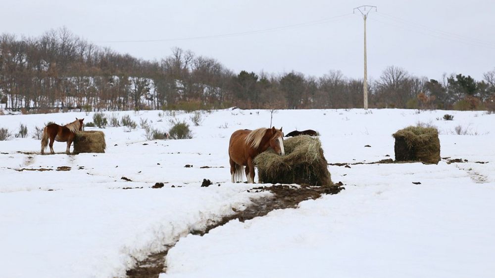 Activada La Alerta Por Nevadas