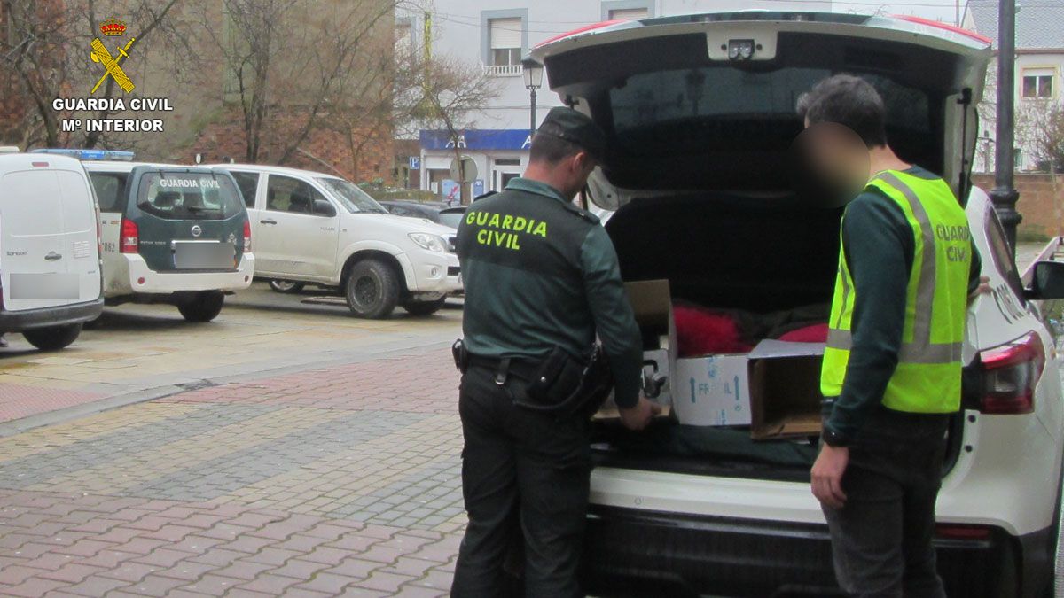 Las detenciones se produjeron en Fabero. | GUARDIA CIVIL