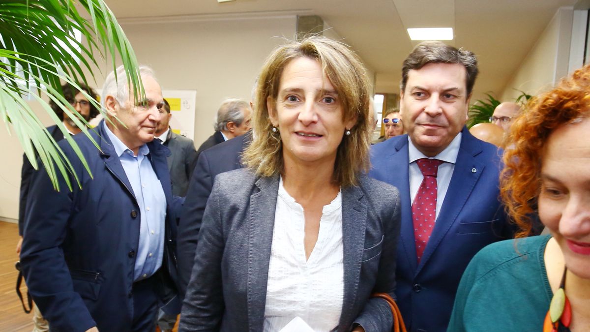 La ministra Ribera, junto al consejero de Economía de la Junta de Castilla y León, Carlos Fernández Carriedo. | Ical