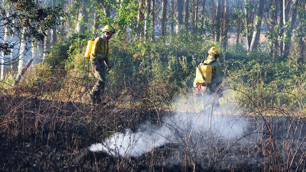 Brigadas forestales, en una foto de archivo, en la extinción de un incendio en el Bierzo. | César Sánchez (Ical)